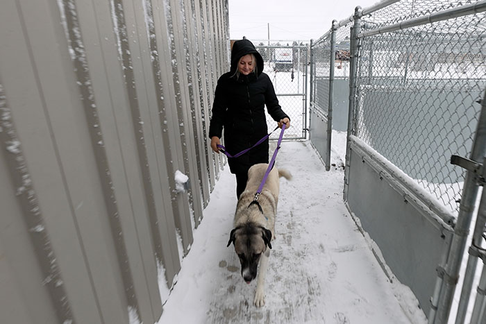 A Gate City Bank employee volunteers with 4 Luv of Dog Rescue, a Fargo, ND nonprofit