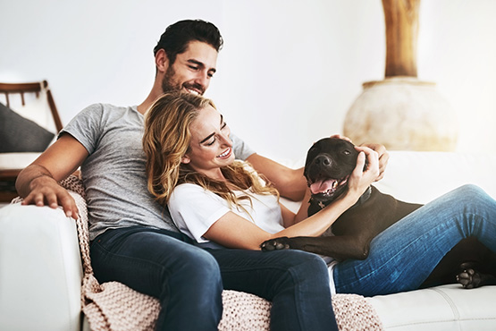 after reading Gate City Bank’s article on money and marriage, a happy engaged couple snuggles on the couch and pets their dog